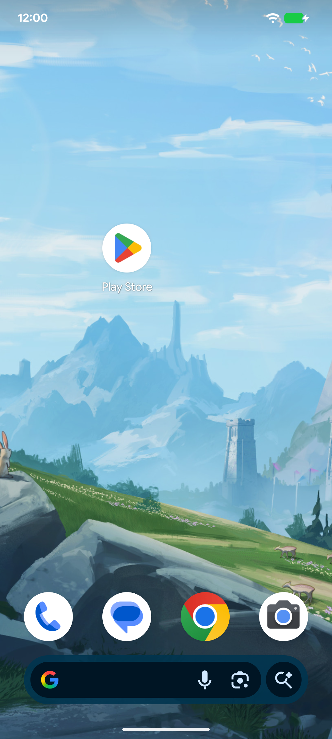Open Play Store on Android home screen